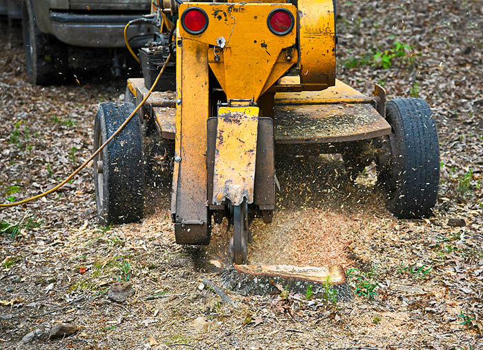 Tree Care Stump Removal Battle Creek MI Brawners Tree Service 0009