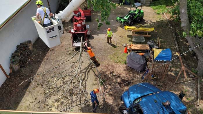 Tree Care Stump Removal Battle Creek MI Brawners Tree Service 7003