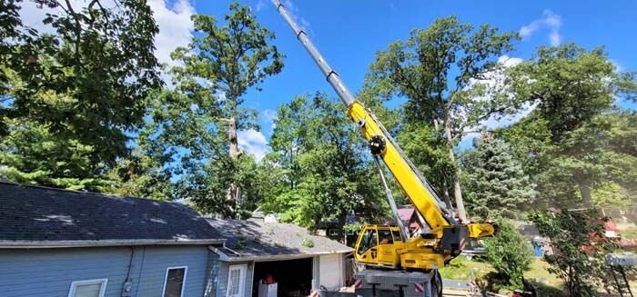 Tree Care Stump Removal Battle Creek MI Brawners Tree Service 7015