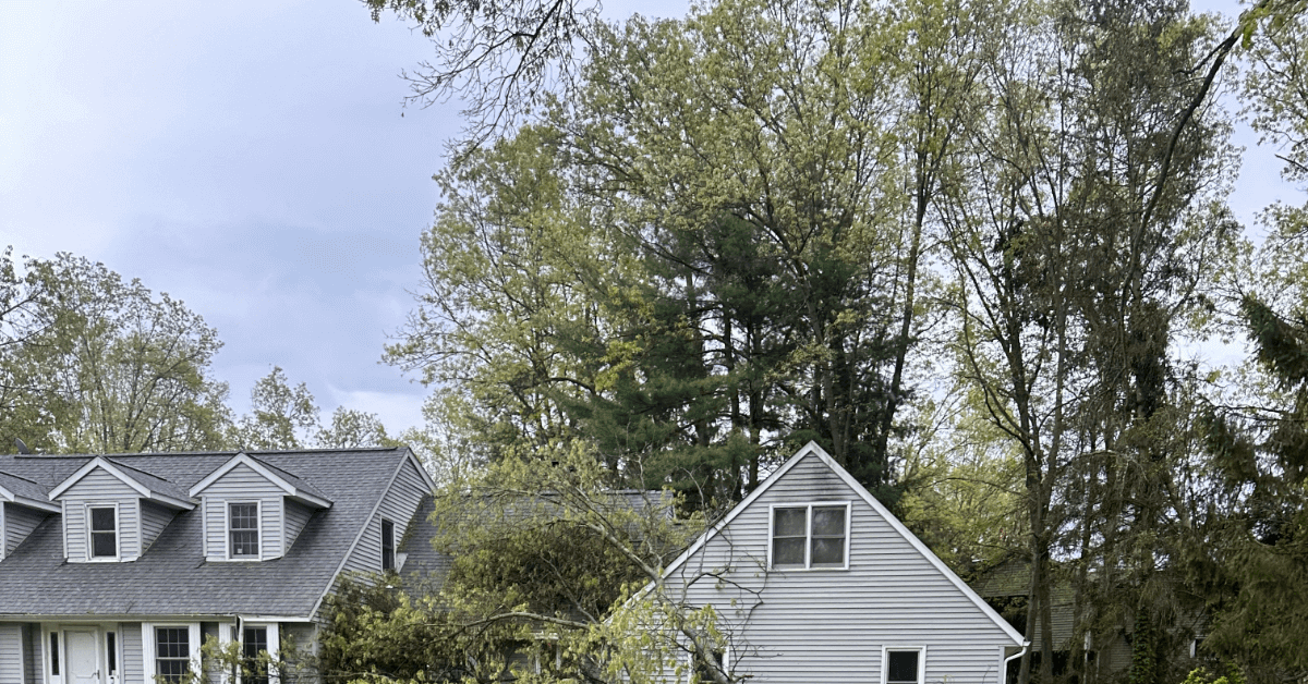 Homeowner watering a young tree in Kalamazoo yard