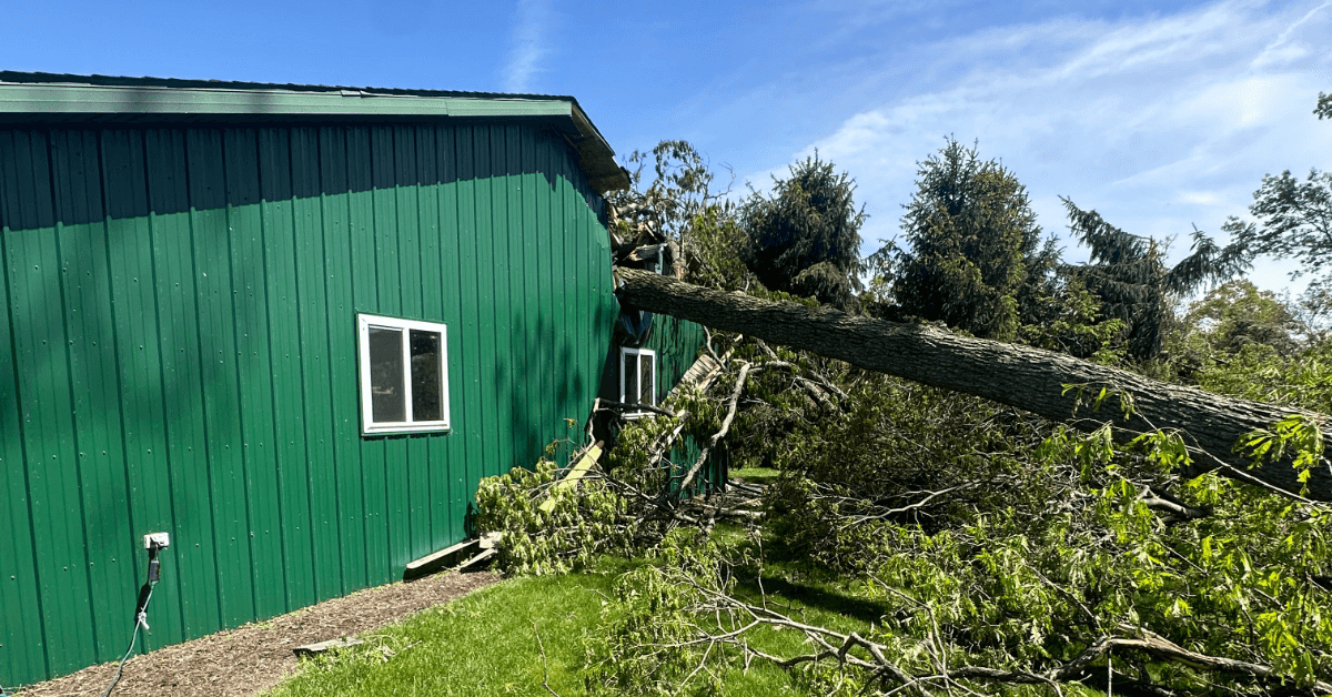 A fallen tree crushed a Kalamazoo home after a storm