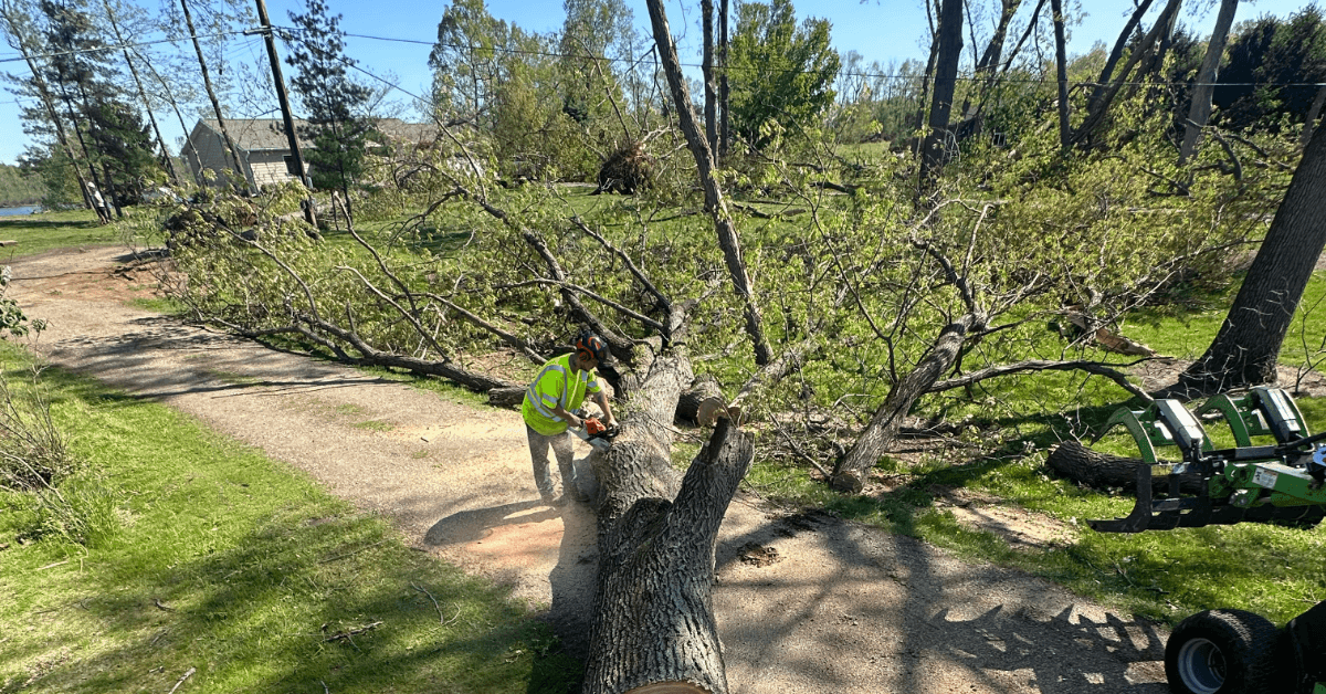 Brush clearing crew working on overgrown property in Kalamazoo, MI