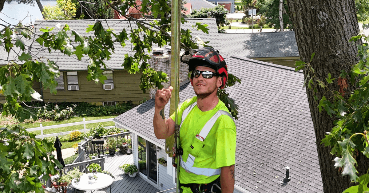 Certified arborist from Brawner’s Tree Service inspecting and pruning trees in Calhoun County, MI, for winter storm preparation.