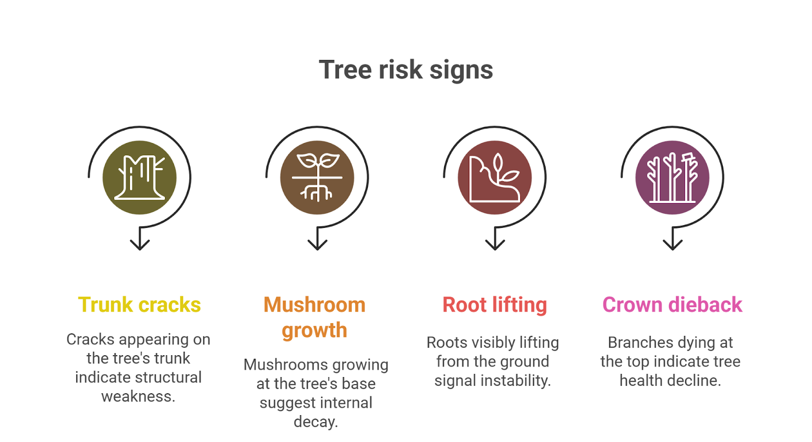 A clean checklist with icons for trunk cracks, fungal growth, root lifting, and crown dieback. 