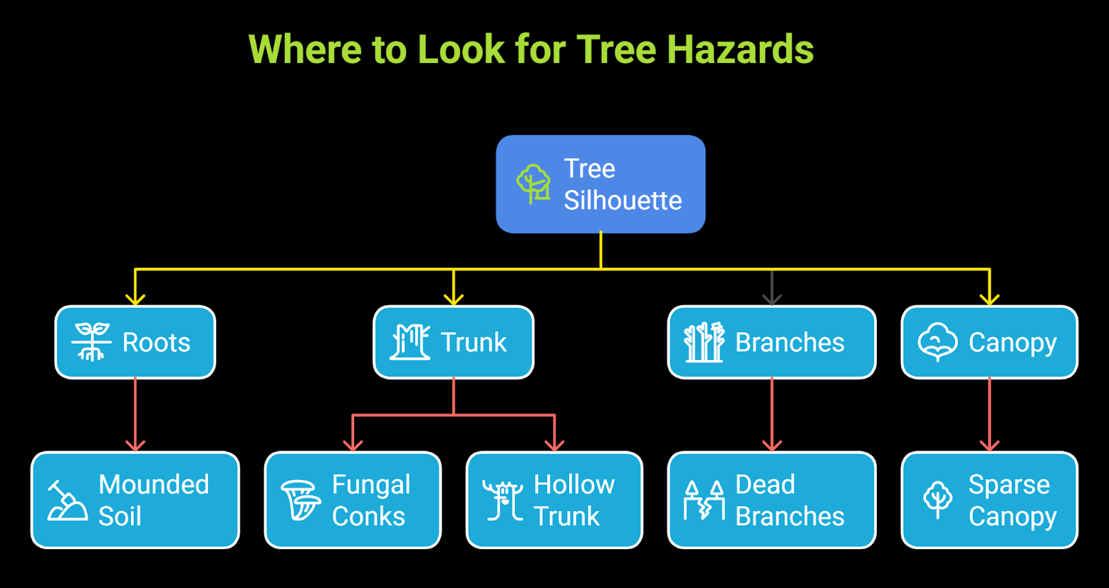 Diagram of a yard tree with highlighted risk zones including roots with upheaval, a cracked trunk, fungal growth, and dead limbs.
