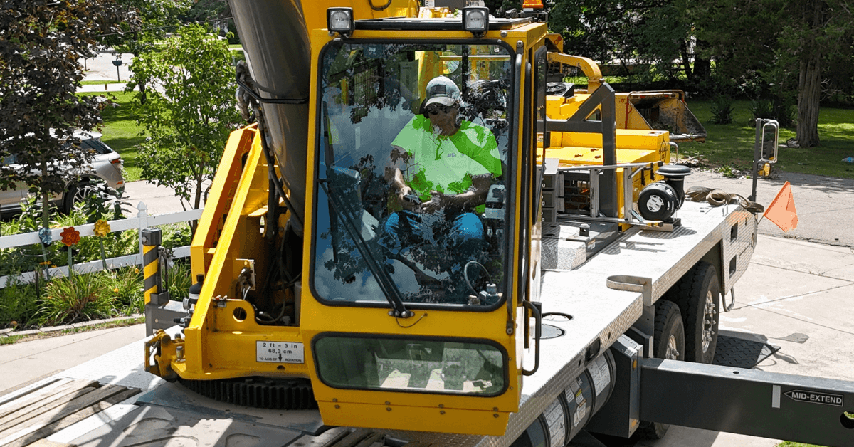 Professional crew handling tree and stump removal in Battle Creek, MI