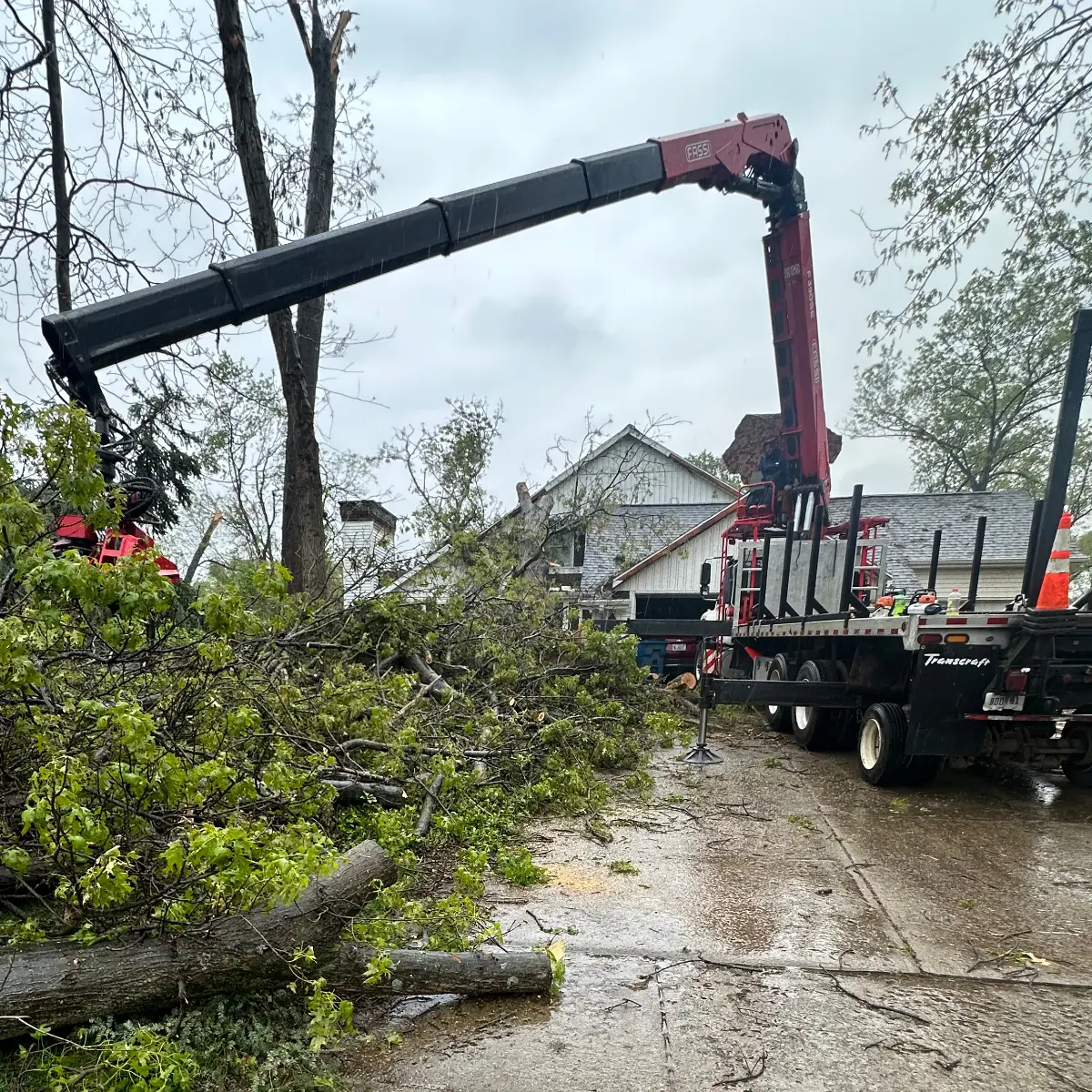 Fallen tree on a Battle Creek property after a storm
